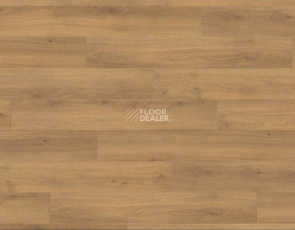 Haro Tritty 100 4V ДУБ ЭМИЛИЯ МЕДОВЫЙ 538692 фото 1 | FLOORDEALER